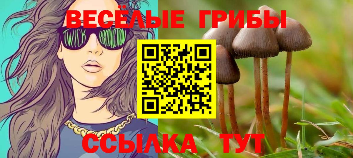 Галлюциногенные грибы Cubensis Иваново
